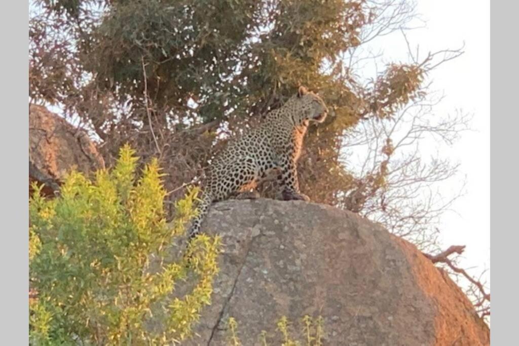 Rhino House With 3 Bedrooms Next To Pilanesberg And Sun City Mogwase Exterior foto
